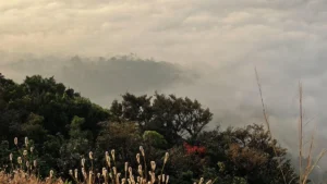 the-western-ghats-deadlock-karnatakas-resistance-to-the-kasturirangan-report