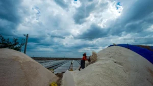 weather-alert-deep-depression-over-bay-of-bengal-triggers-heavy-rainfall-warning-for-west-bengal