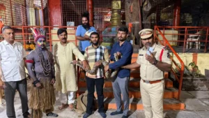 wildlife-trafficking-at-public-events-indian-rock-python-rescued-from-hyderabad-ganesh-procession