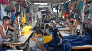 empowering-the-grassroots-how-pmegp-is-reshaping-indias-micro-enterprise-landscape