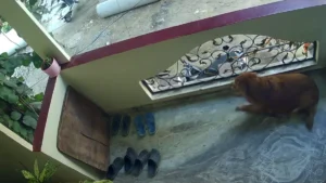 mystery-blast-rattles-hyderabad-residents-and-authorities-baffled-by-unexplained-morning-boom